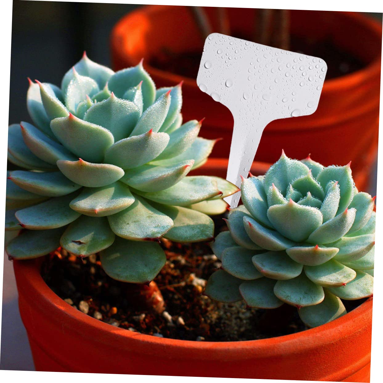 耐久性のあるプラスチック製の植物ラベル 100個 簡単に洗浄 Amazon.co.jp: MERRYHAPY 100個プラスチック製 防水 植物タグ 型